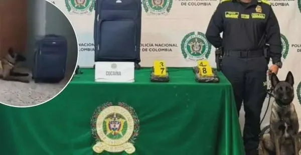 Encuentran maleta con más de 8 kg de cocaína en el Aeropuerto El Dorado: equipaje iba con GPS