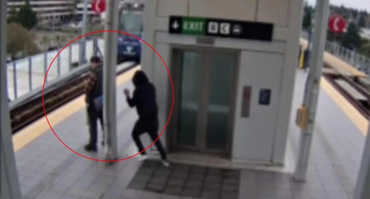 Imagen representativa del artículo