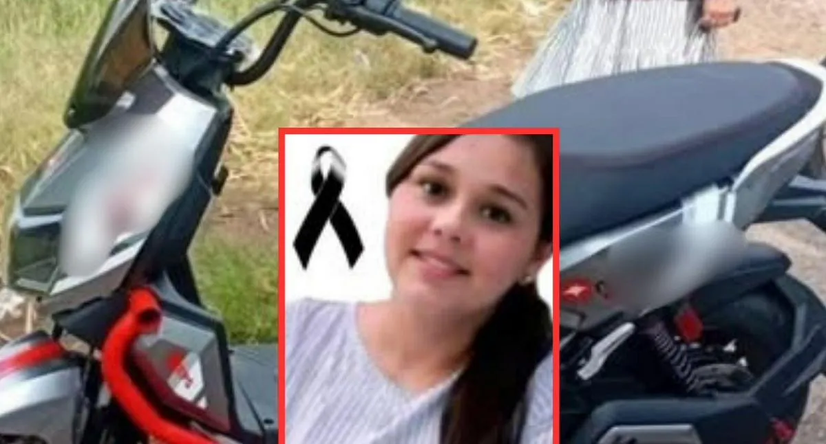 Imagen representativa del artículo