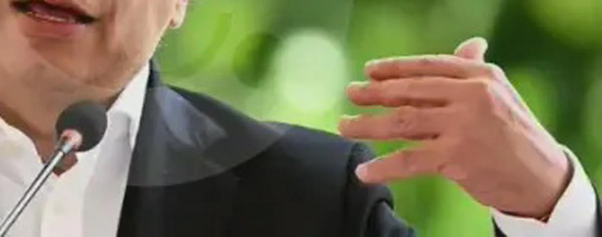 Imagen representativa del artículo