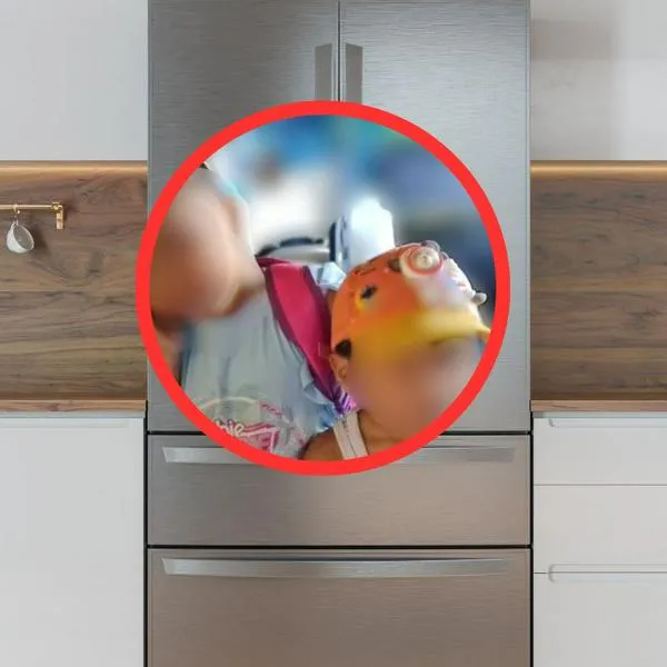 "Se metieron, la tapa se cayó y se asfixiaron": El desgarrador testimonio del padre de los niños encontrados en una nevera en Vista Hermosa, Meta. Detalles