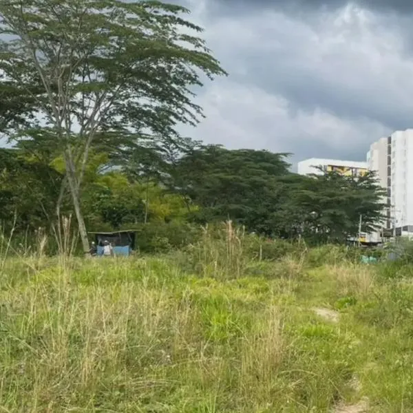 Ocupación ilegal de lote en Armenia; familias reclaman y autoridades anuncian desalojo