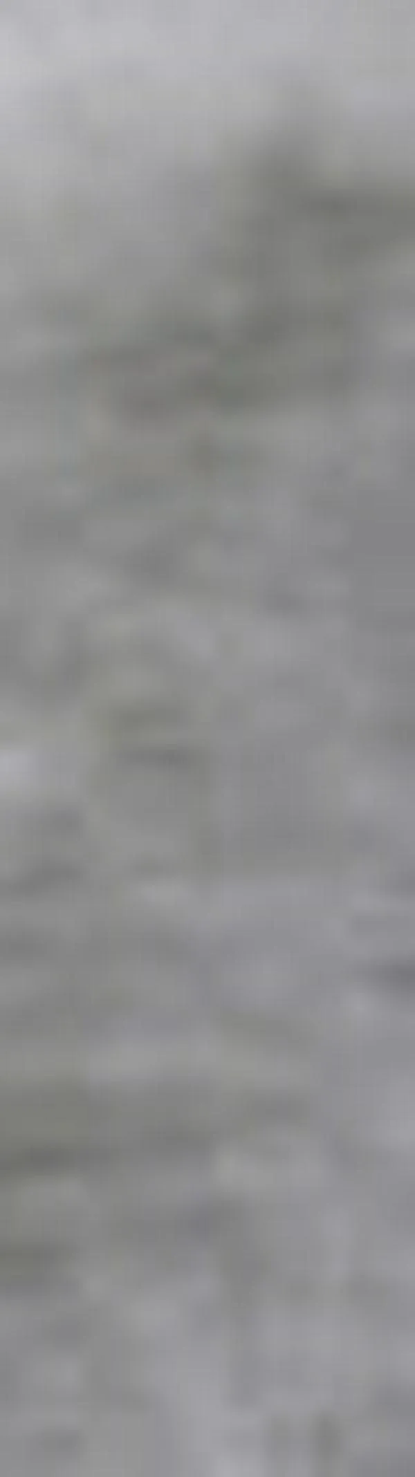 Autismo: la genética es universal y comparte variantes entre etnias