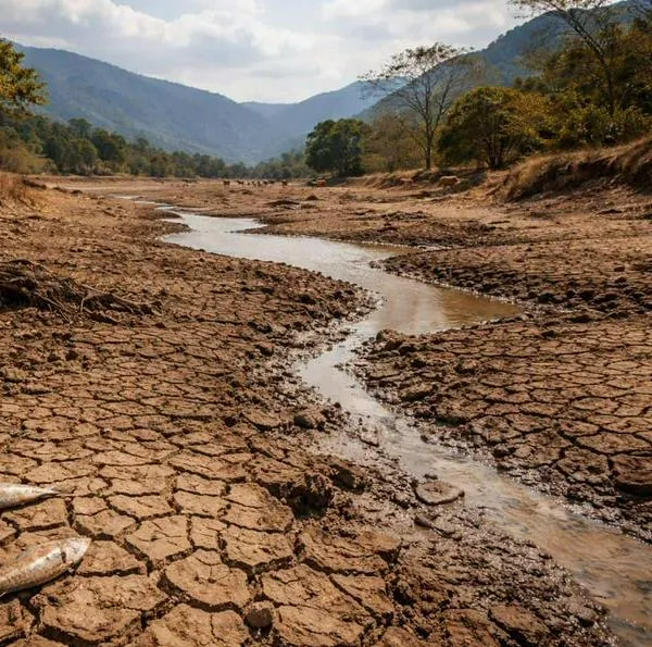 Colombia podría sufrir una superoleada de calor en 2026: sería una de las más altas en 100 años