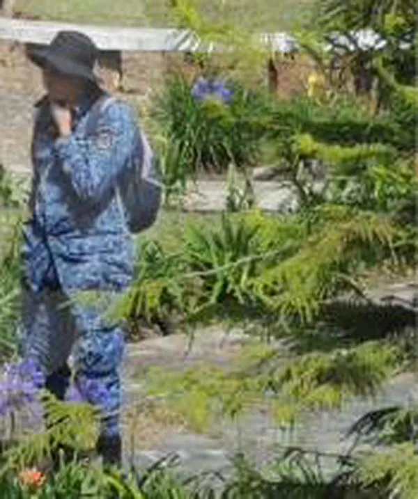 Así será la primera cárcel para indígenas que se construye en el Cauca