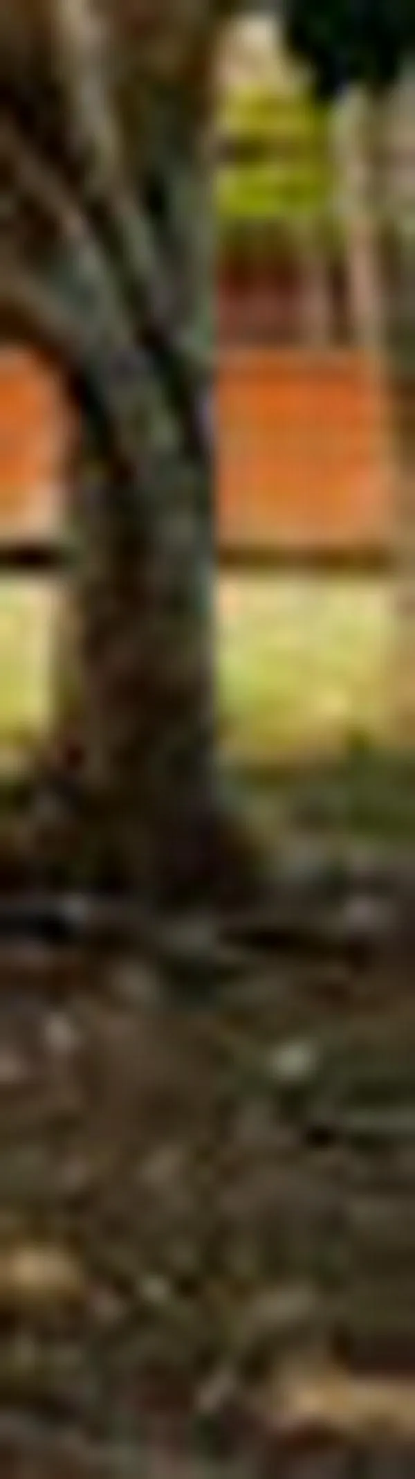 Más de 10 mujeres denuncian acoso sexual en Jardín Botánico de Tuluá