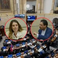Paloma Valencia e Iván Cepeda tuvieron una pelea en el Senado por alias 'Calarcá' y Ciro Ramírez