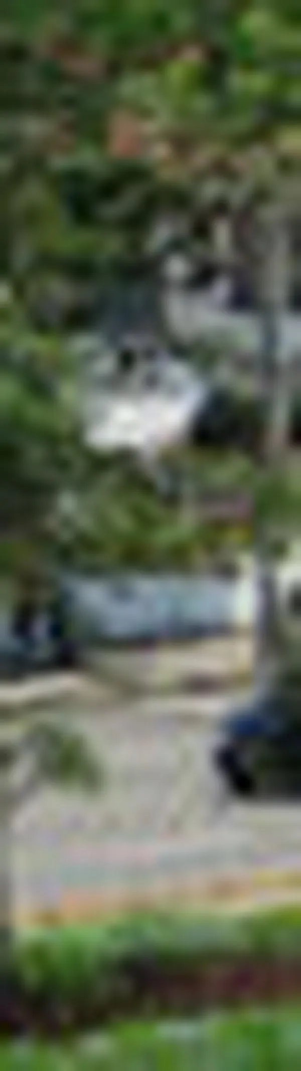 Clínica Infantil Club Noel reporta sobreocupación del 157% en urgencias