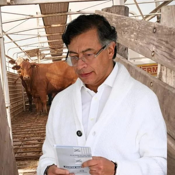 imagen principal home