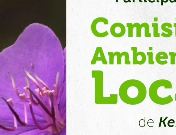 Atención Kennedy: este jueves 9 de abril participa en la Comisión Ambiental Local 