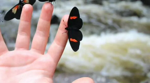 ¿Cuál será el clima en Cali hoy miércoles 8 de abril? Este es el pronóstico