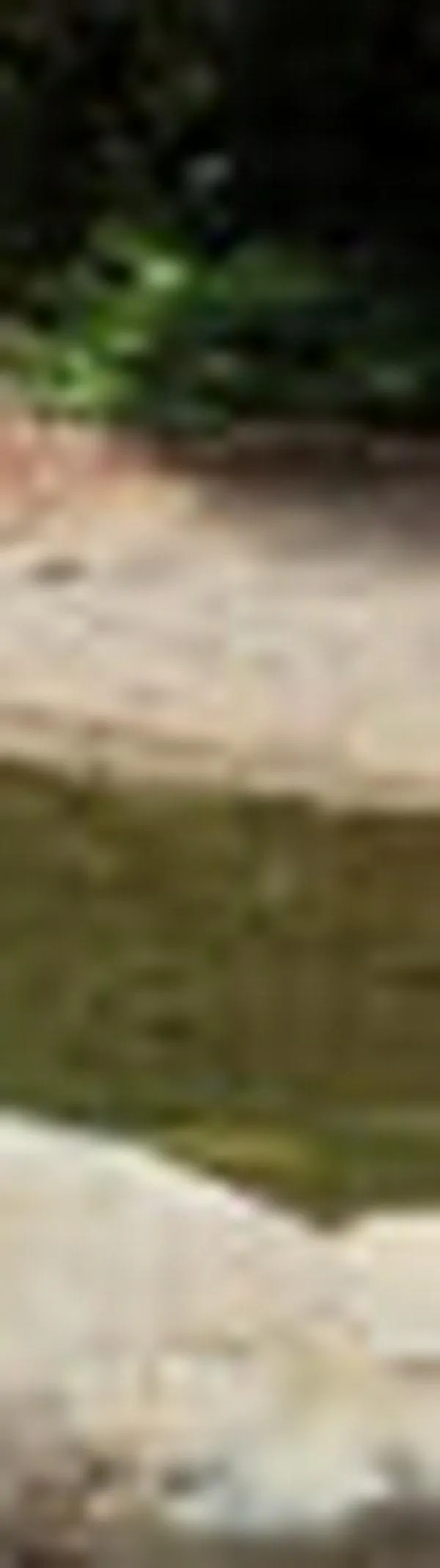 Alerta roja en el río Escalerete agrava crisis de agua en Buenaventura