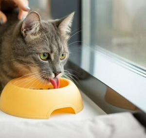 imagen nota inferior