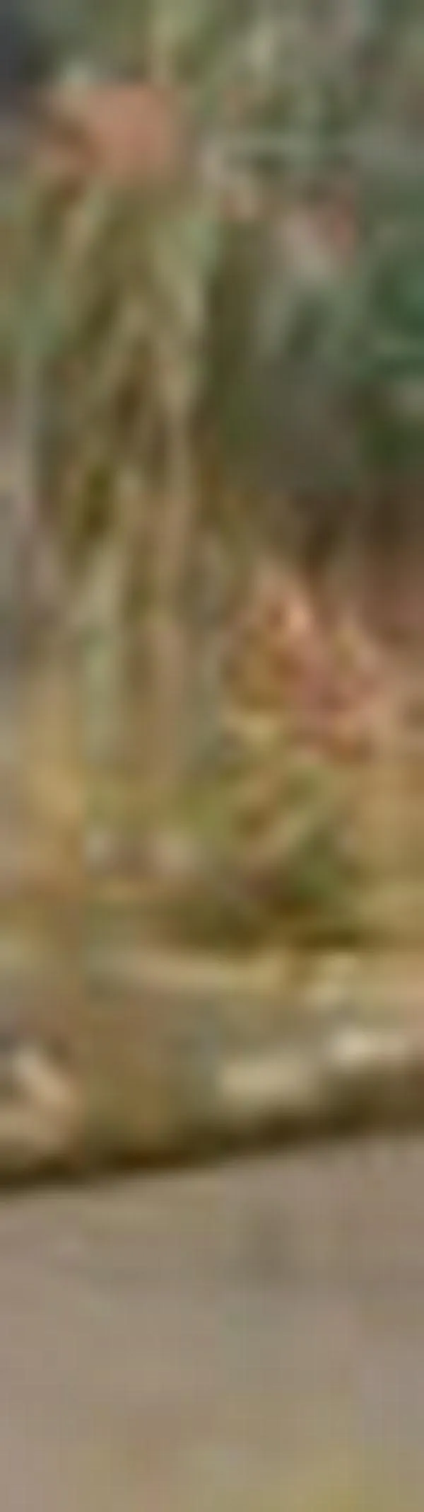 Bloqueos y presencia de hombres armados agravan crisis de orden público en zona rural de Jamundí