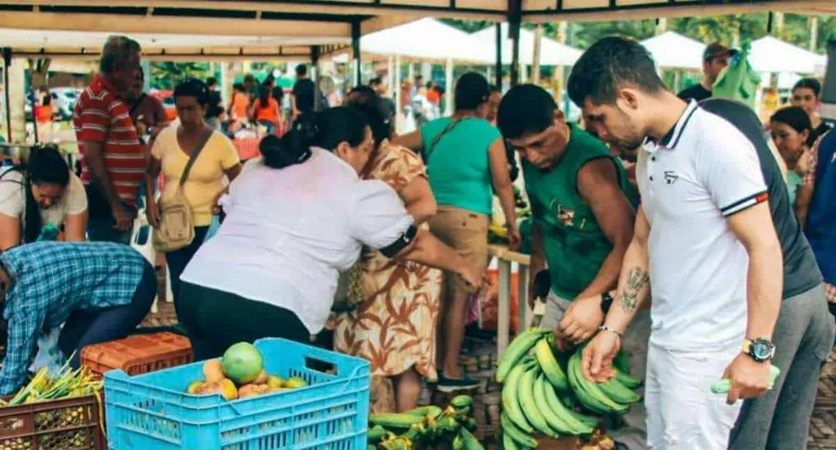 Imagen representativa del artículo