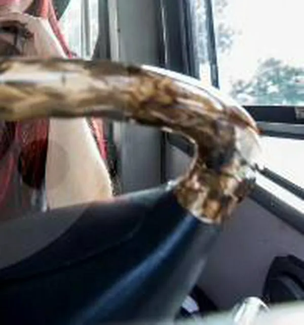 Trabajo sí hay: buscan 400 conductores en el Valle de Aburrá