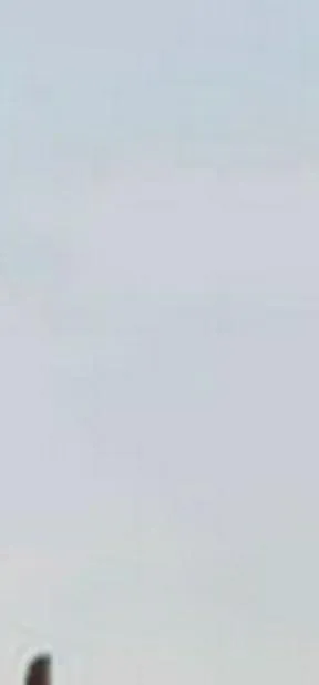 Imagen representativa del artículo