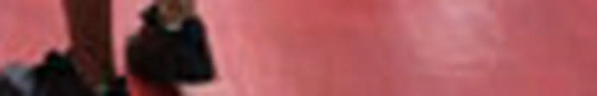 Imagen representativa del artículo