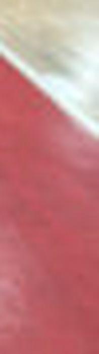 Toros del Valle inicia su camino en la Liga Señal Colombia de Baloncesto 2026-I