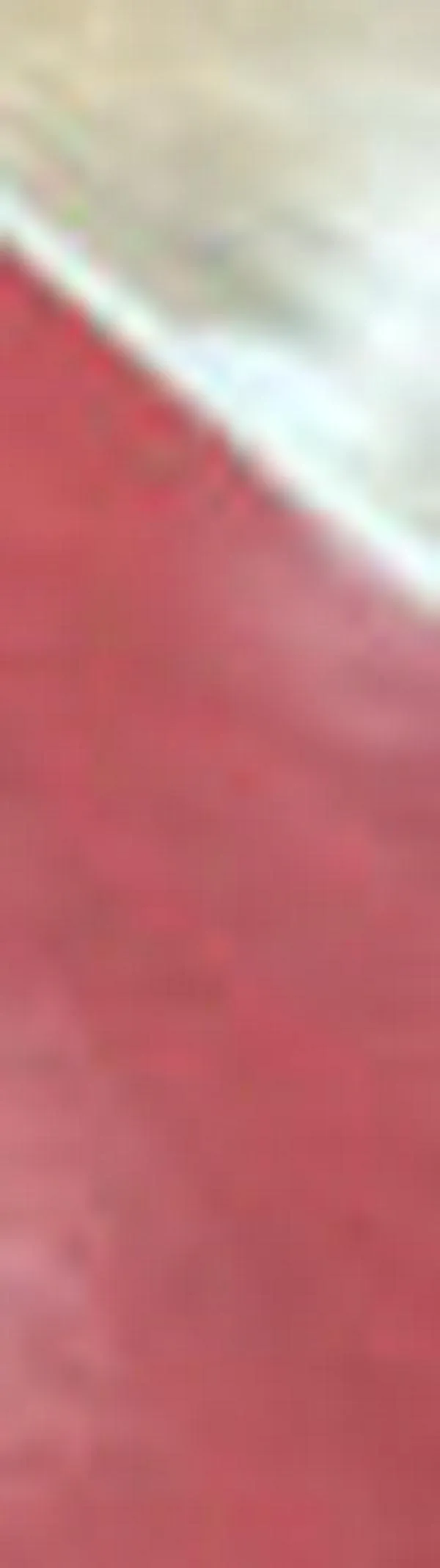 Toros del Valle inicia su camino en la Liga Señal Colombia de Baloncesto 2026-I