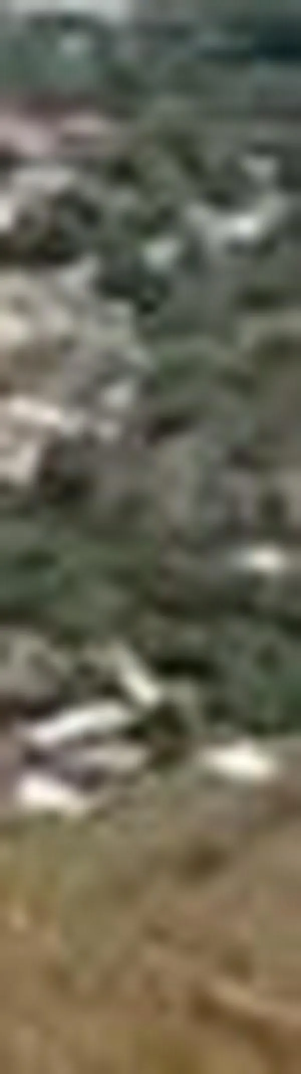 Denuncian extorsiones en El Queremal