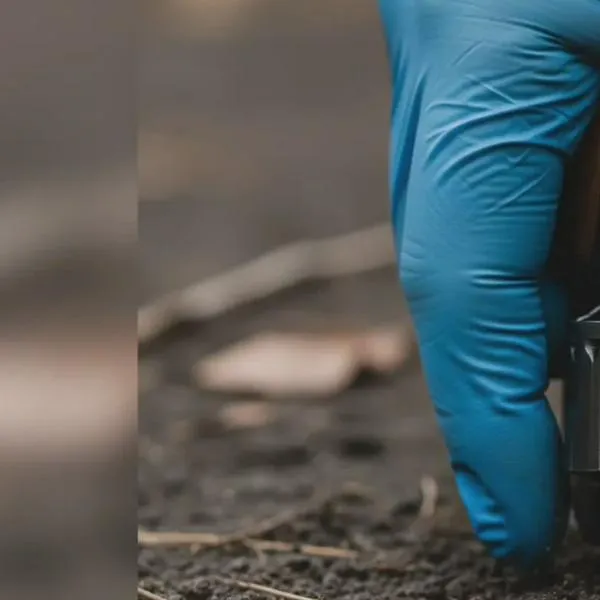 Audiencia en la Jurisdicción Especial para la Paz reveló cómo fueron los ‘falsos positivos’ en el Quindío