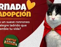 Participa este sábado 11 de abril en una nueva jornada de adopción en Gran Estación II 