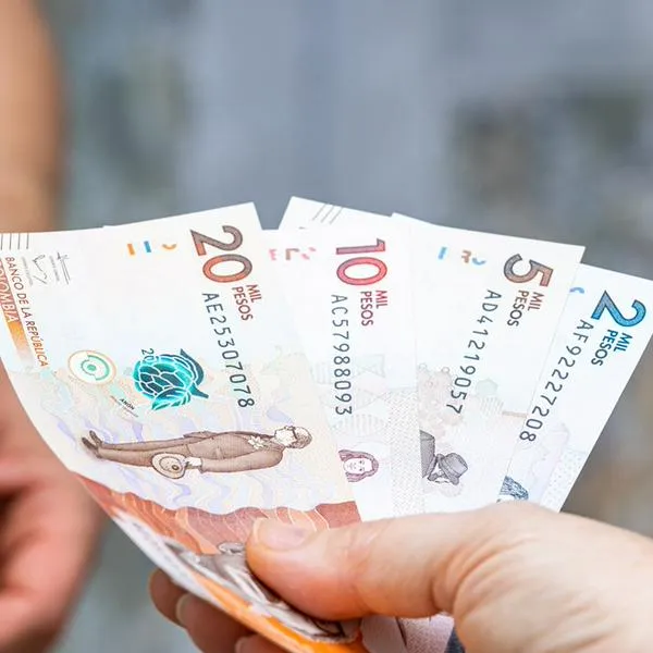 imagen principal home