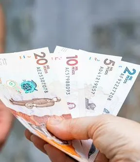 Imagen representativa del artículo