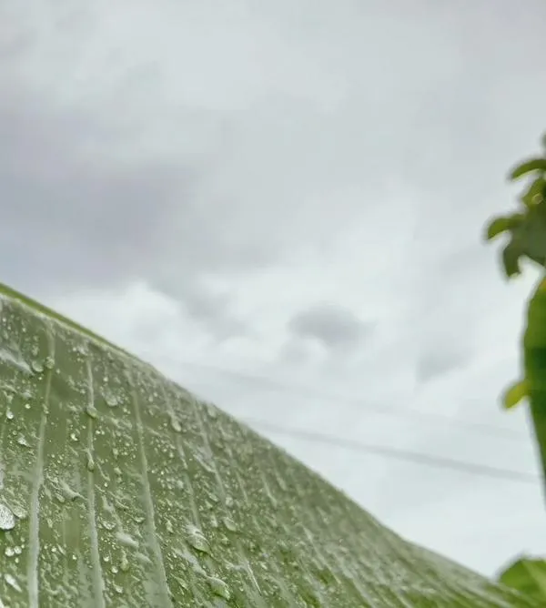 Ojo con el río: Ideam lanza alerta por riesgo de crecientes súbitas en el Cesar y el sur de La Guajira por fuertes lluvias
