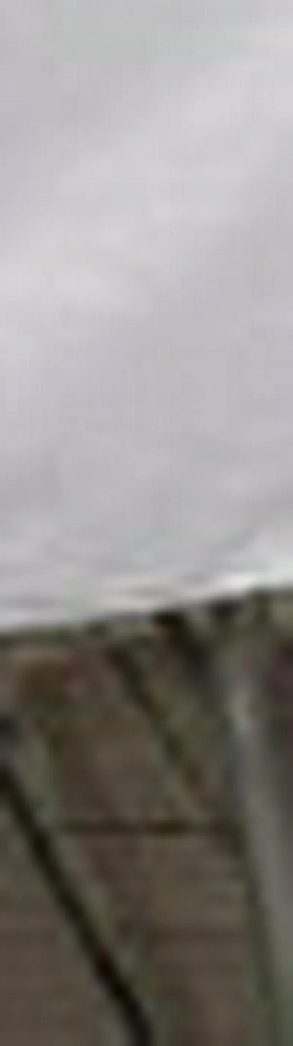 Bulevar del Río: agentes encubiertos logran caída de banda dedicada al tráfico de estupefacientes en Cali