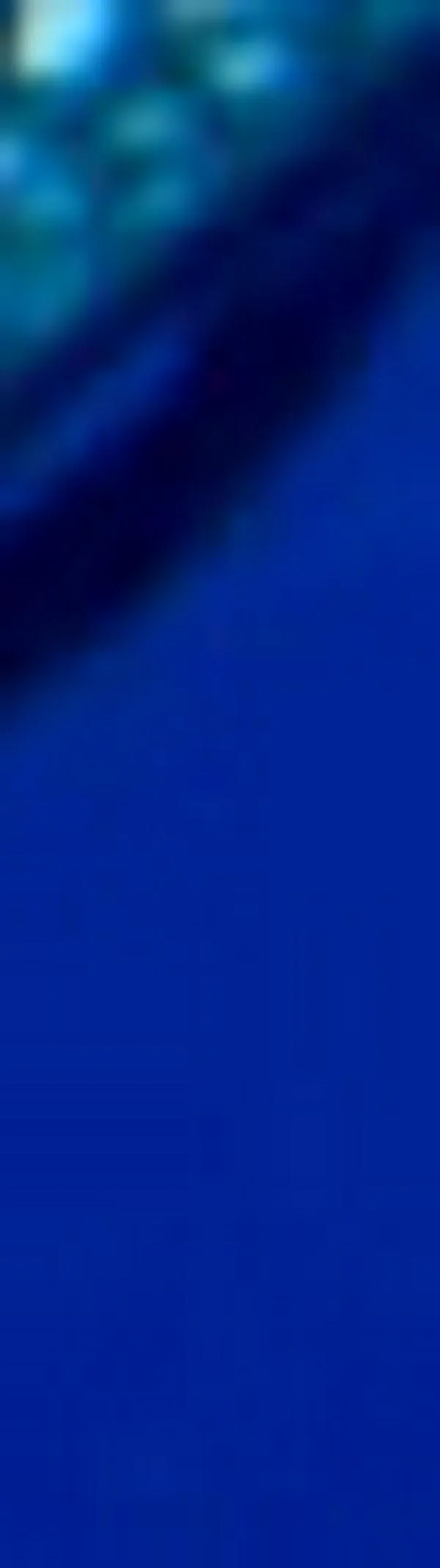 Tiburón ballena regresa al Pacífico chocoano