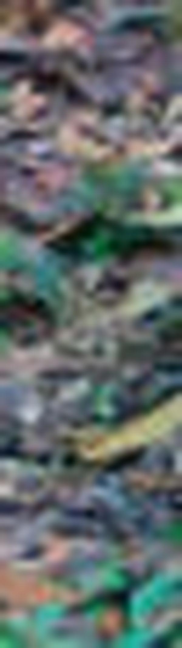 imagen principal home