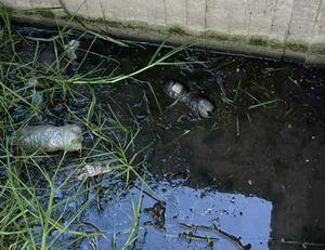 imagen nota inferior