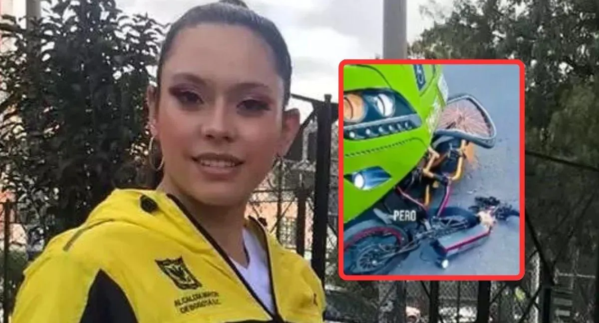 Imagen representativa del artículo