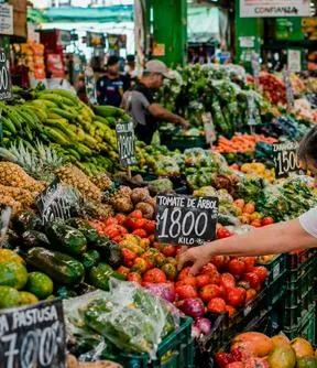 Imagen representativa del artículo