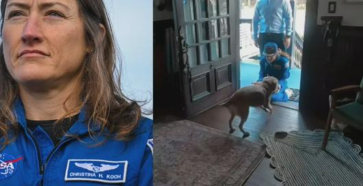 El conmovedor momento del reencuentro de astronauta Christina Koch con su mascota Sadie