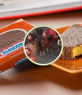 Imagen representativa del artículo