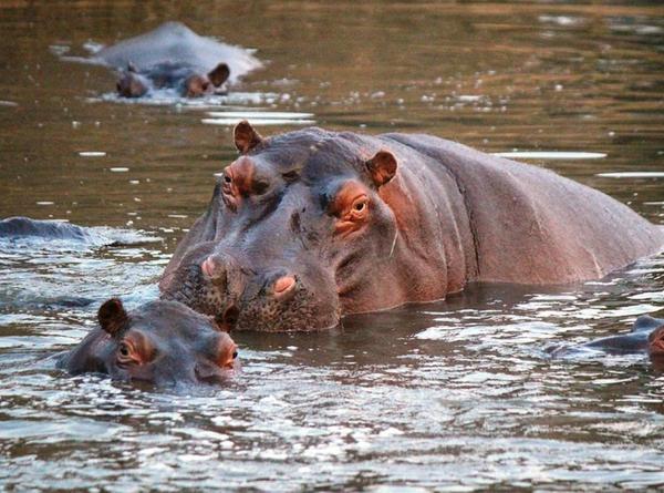 imagen principal home