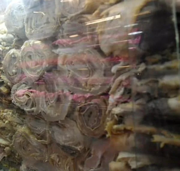 ¿Por qué ya no alcanza la quincena en Bogotá? Cinco gastos que aprietan el bolsillo