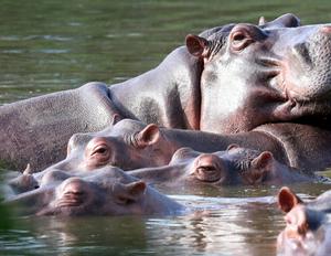 imagen nota inferior