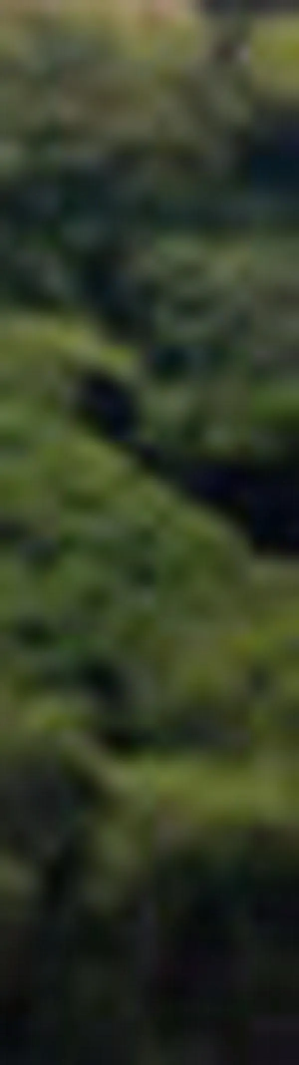 Padres entregan a sus hijos y cae banda de asaltantes en Puerto Tejada