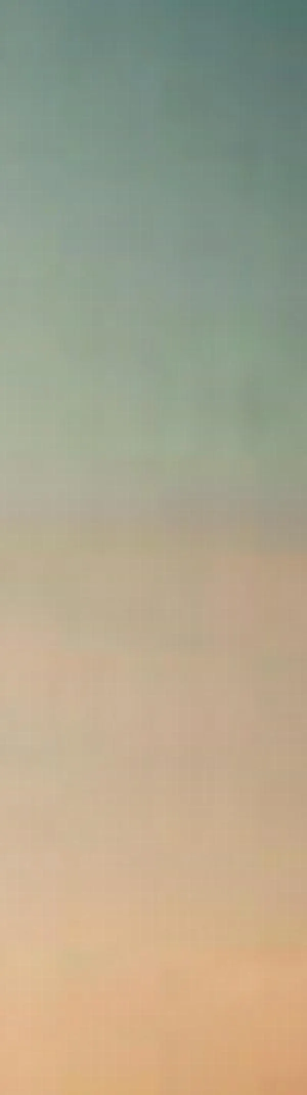 La imaginación y la visión comparten el mismo código neural