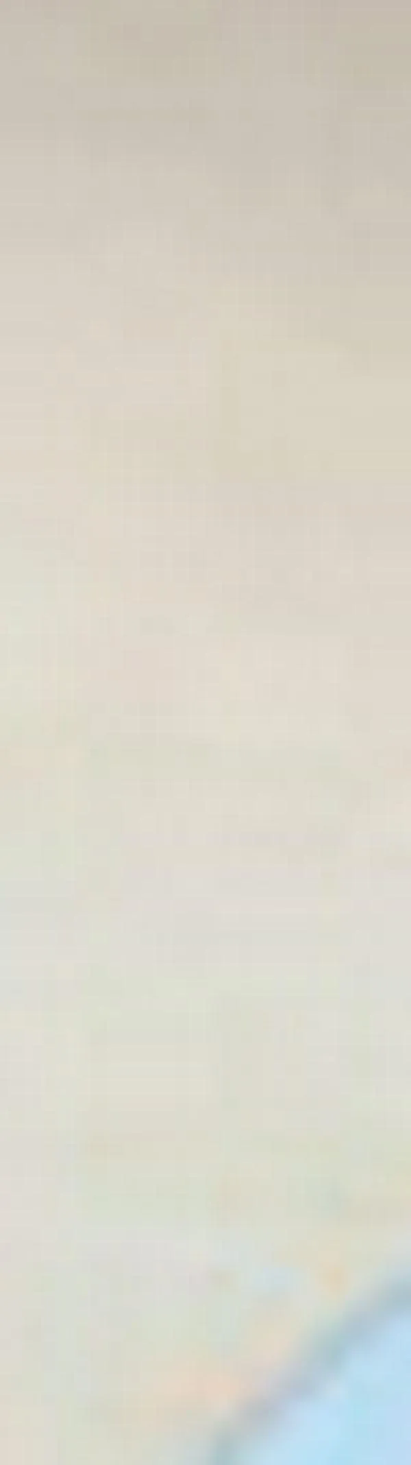 Pasaportes: ¿Cómo está operando la expedición después de las fallas de la semana pasada?