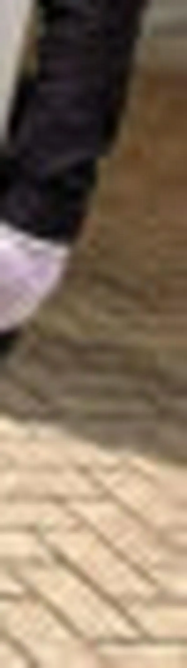 Homenaje a diputados, un llamado a la no repetición