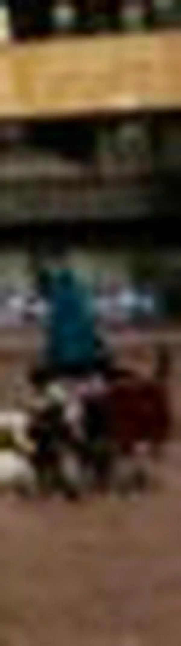 Respaldo a reclamo de la Gobernadora a ANT