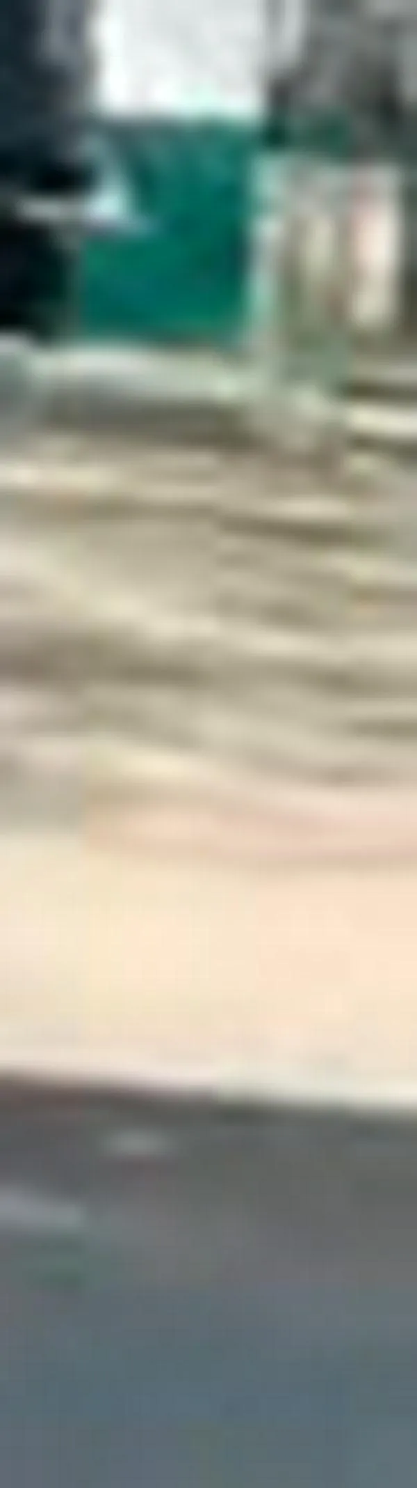 Megatoma carcelaria golpea a “La Oficina de Buga”