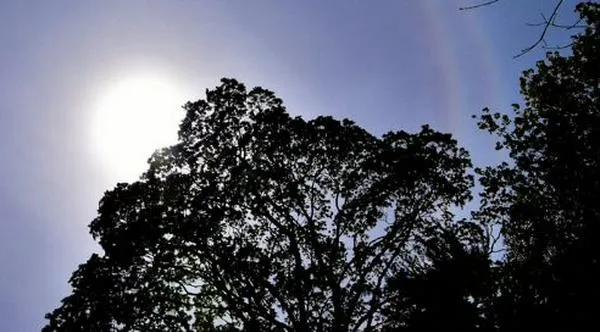 ¿Cuál es el pronóstico del clima para Cali hoy martes 14 de abril?