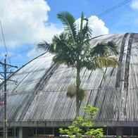 Clases del Técnico Superior transcurren con normalidad