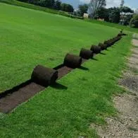 Qué pasará con la grama del Campincito tras obras del nuevo Campín en Bogotá